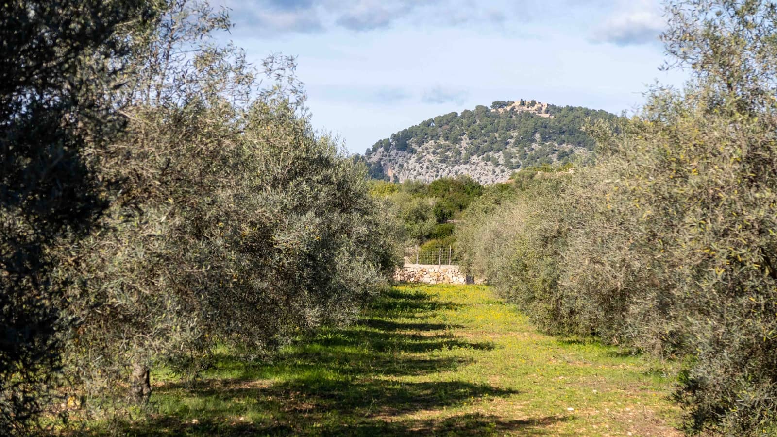 6 chambre Finca/Maison de Campagne à vendre à Pollensa / Pollenca avec garage - 7 650 000 € (Ref: 9469838)