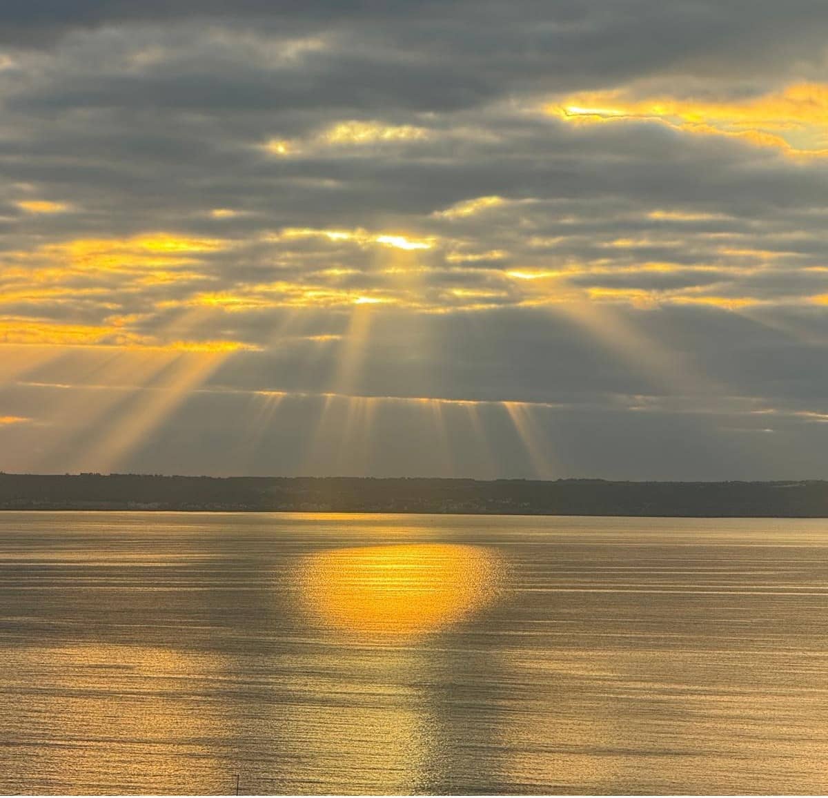 1 makuuhuone Huoneisto vuokrattavana paikassa Palma de Mallorca - 1 600 € (Ref: 9479065)