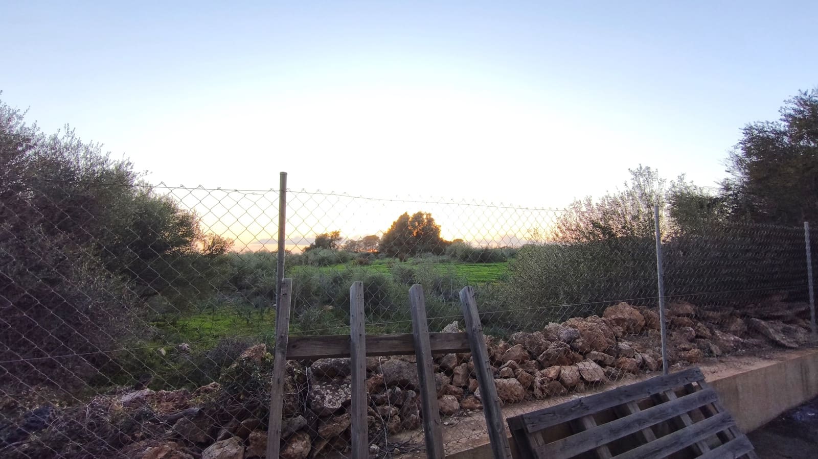 Commercial for rent in Llucmajor with garage - € 2,800 (Ref: 9479067)