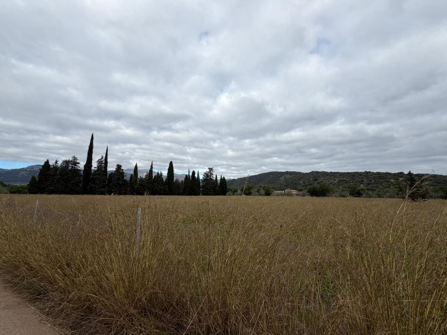 Byggegrund til salg i Campanet - € 461.500 (Ref: 9487972)