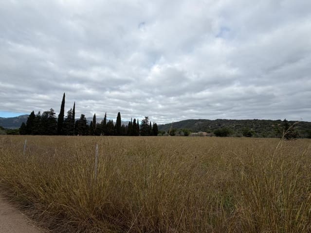 Byggegrund til salg i Campanet - € 461.500 (Ref: 9487972)