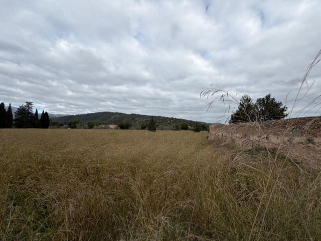 Byggegrund til salg i Campanet - € 461.500 (Ref: 9487972)