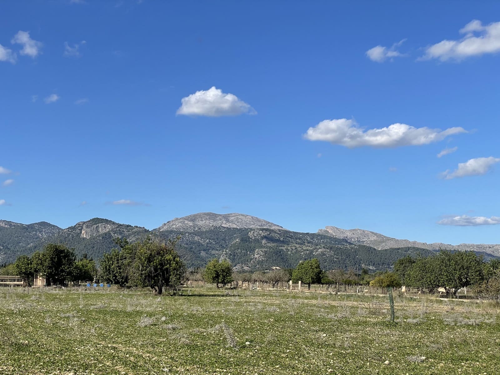 Building Plot for sale in Moscari - € 575,000 (Ref: 9487973)