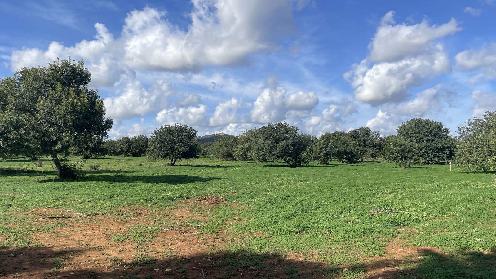 Tomt till salu i Porreres - 1 512 000 € (Ref: 9523570)