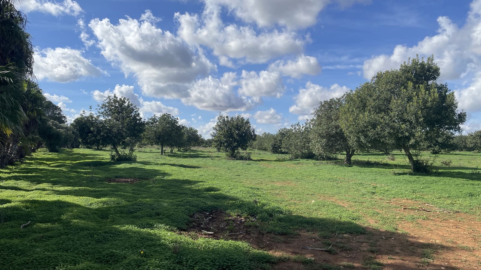 Tomt till salu i Porreres - 1 512 000 € (Ref: 9523571)