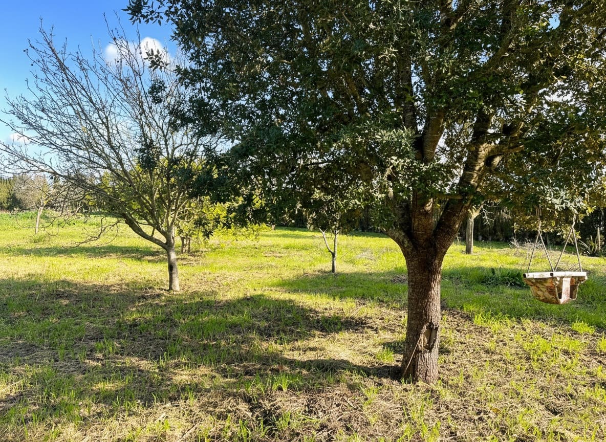 1 Zimmer Finca/Landgut zu vermieten in Montuiri mit Pool Garage - 1.700 € (Ref: 9539720)