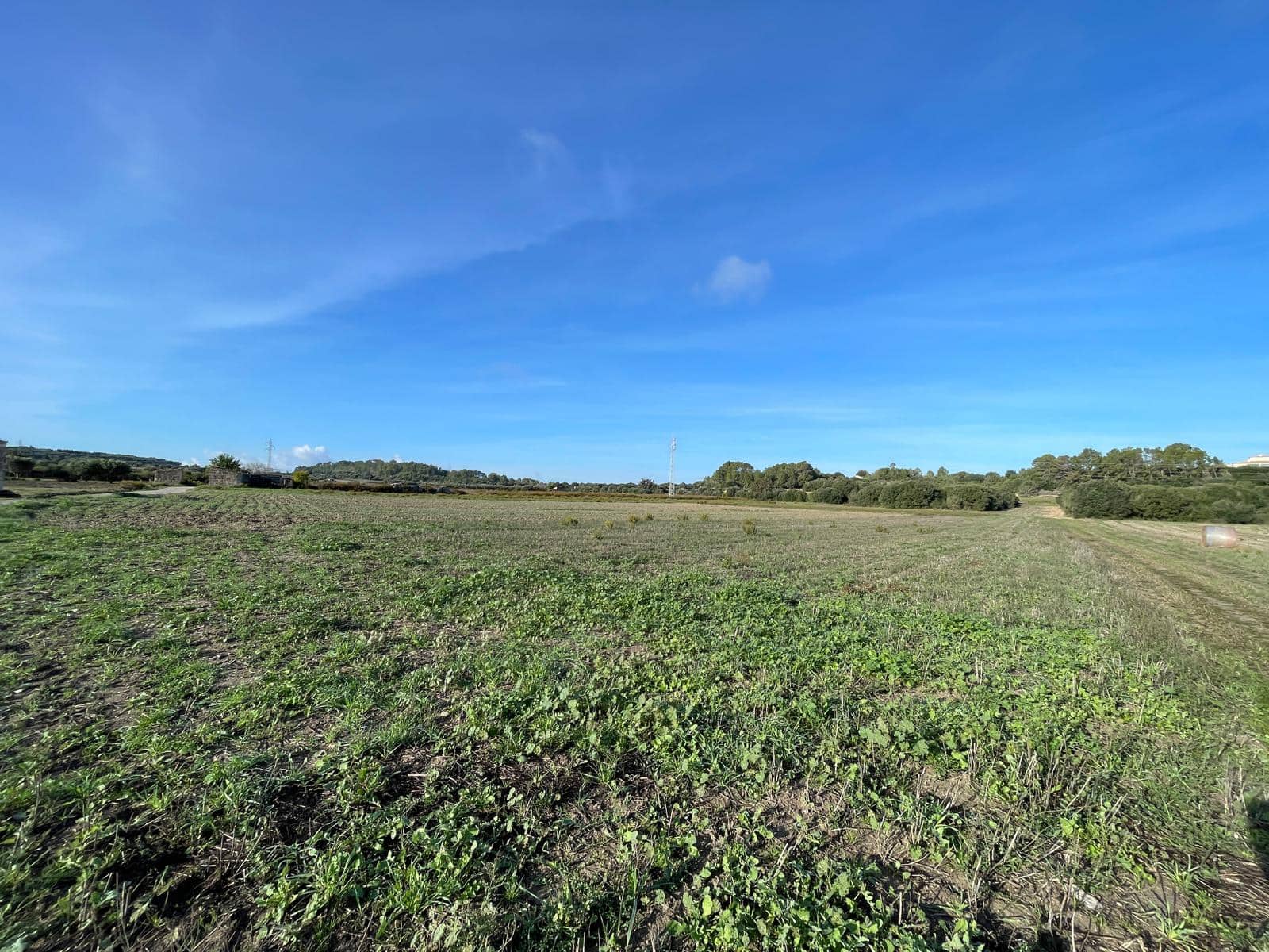 4 slaapkamer Finca/Landhuis te koop in Muro met zwembad garage - € 1.795.000 (Ref: 9539725)