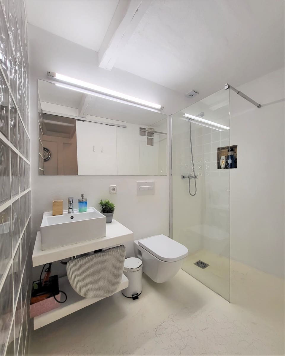 1 bedroom Apartment for rent in Palma de Mallorca - € 1,500 (Ref: 9547225)