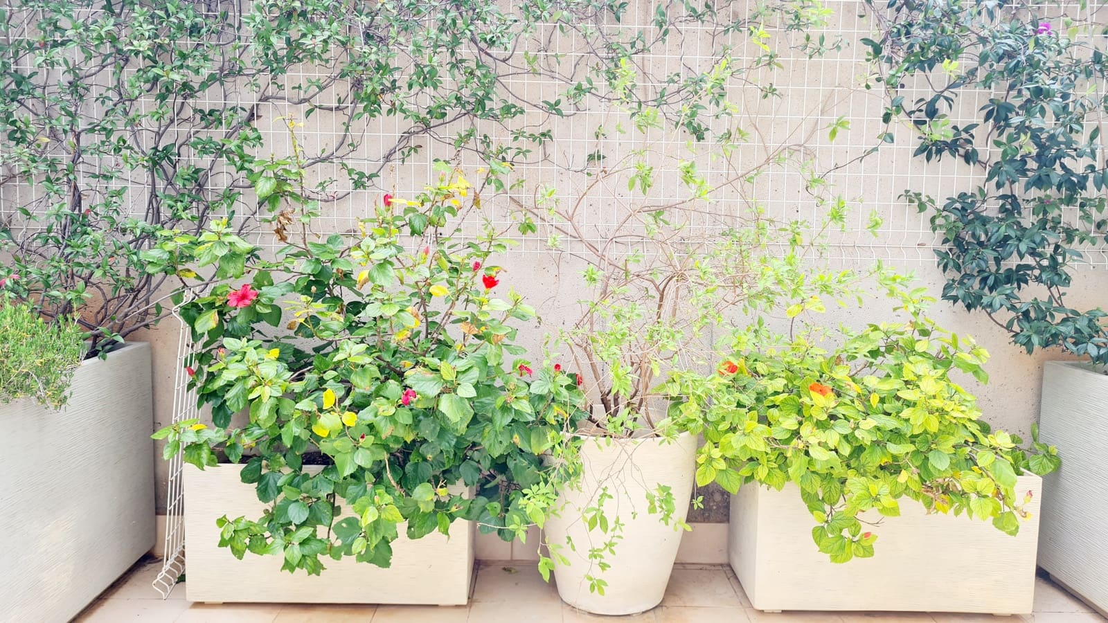 3 bedroom Apartment for rent in Bendinat with garage - € 5,900 (Ref: 9593295)