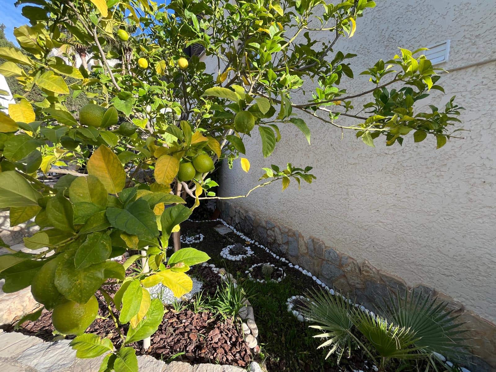 4 soveværelse Villa til leje i Costa de la Calma med swimmingpool garage - € 6.000 (Ref: 9610312)