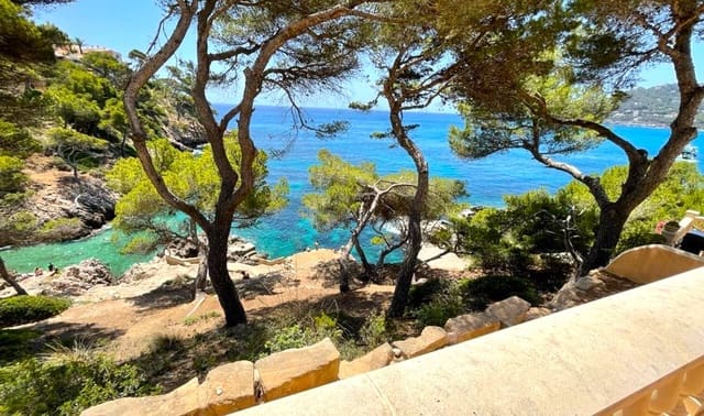 1 Zimmer Apartment zu verkaufen in Canyamel, Capdepera mit Garage - 560.000 € (Ref: 9618638)