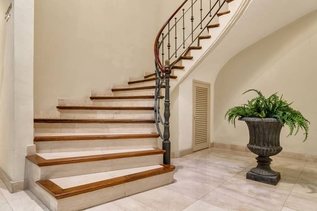 1 bedroom Apartment for rent in Sant Nicolau, Palma de Mallorca - € 2,500 (Ref: 9618641)