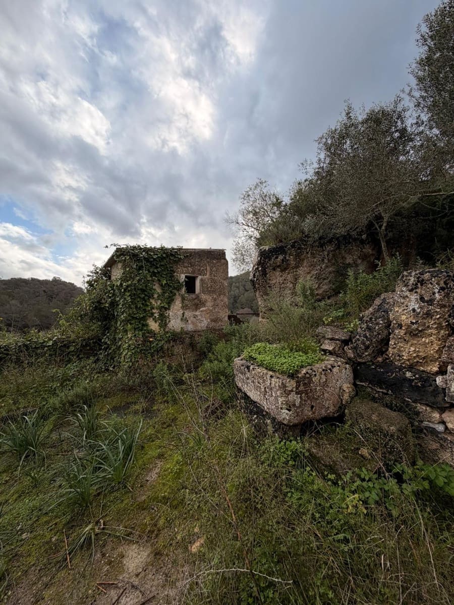 3 sypialnia Finka/Dom wiejski na sprzedaż w Santa Eugenia - 450 000 € (Ref: 9624121)