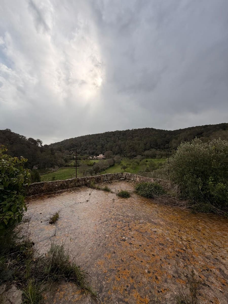 3 sypialnia Finka/Dom wiejski na sprzedaż w Santa Eugenia - 450 000 € (Ref: 9624121)