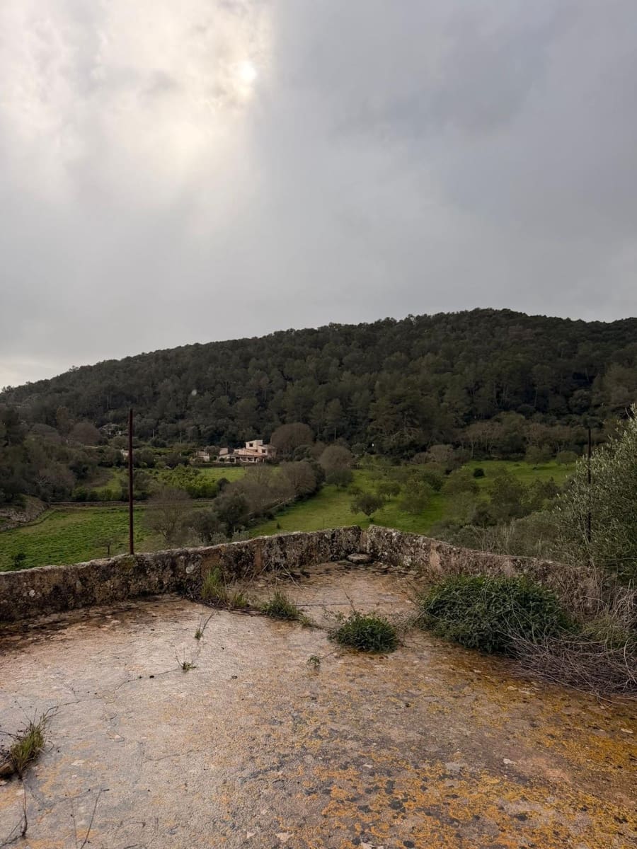 3 sypialnia Finka/Dom wiejski na sprzedaż w Santa Eugenia - 450 000 € (Ref: 9624121)