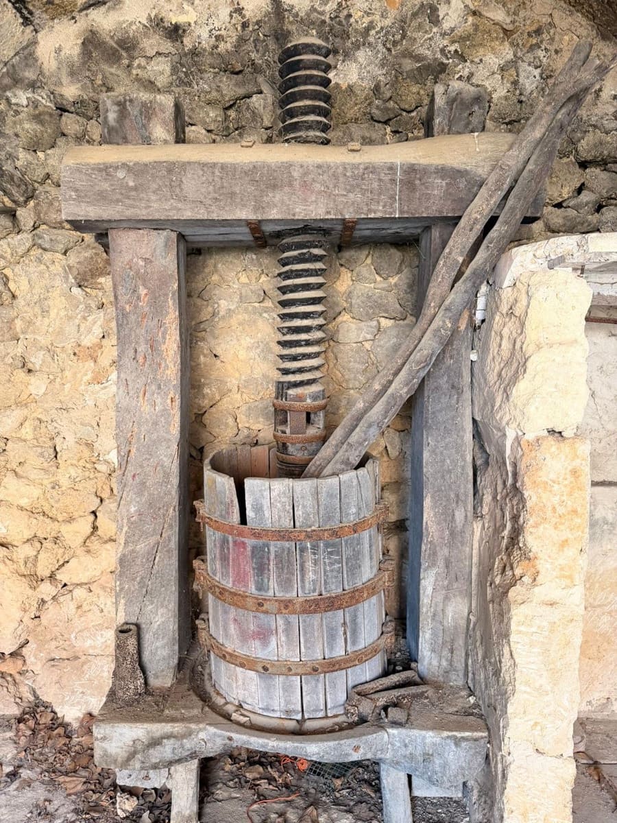 3 sypialnia Finka/Dom wiejski na sprzedaż w Santa Eugenia - 450 000 € (Ref: 9624121)