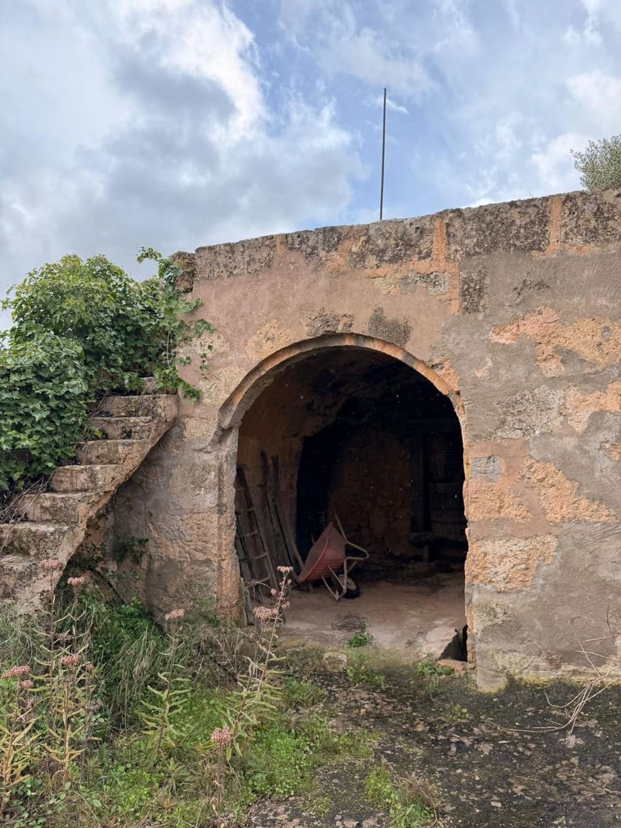 3 sypialnia Finka/Dom wiejski na sprzedaż w Santa Eugenia - 450 000 € (Ref: 9624121)