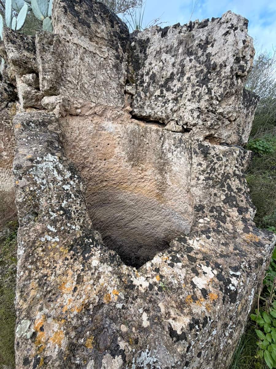 3 sypialnia Finka/Dom wiejski na sprzedaż w Santa Eugenia - 450 000 € (Ref: 9624121)