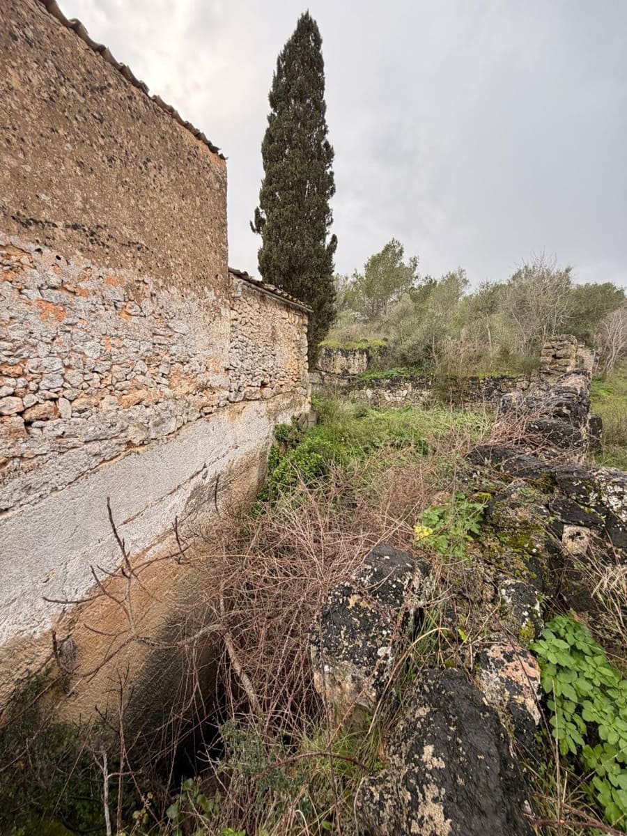 3 sypialnia Finka/Dom wiejski na sprzedaż w Santa Eugenia - 450 000 € (Ref: 9624121)