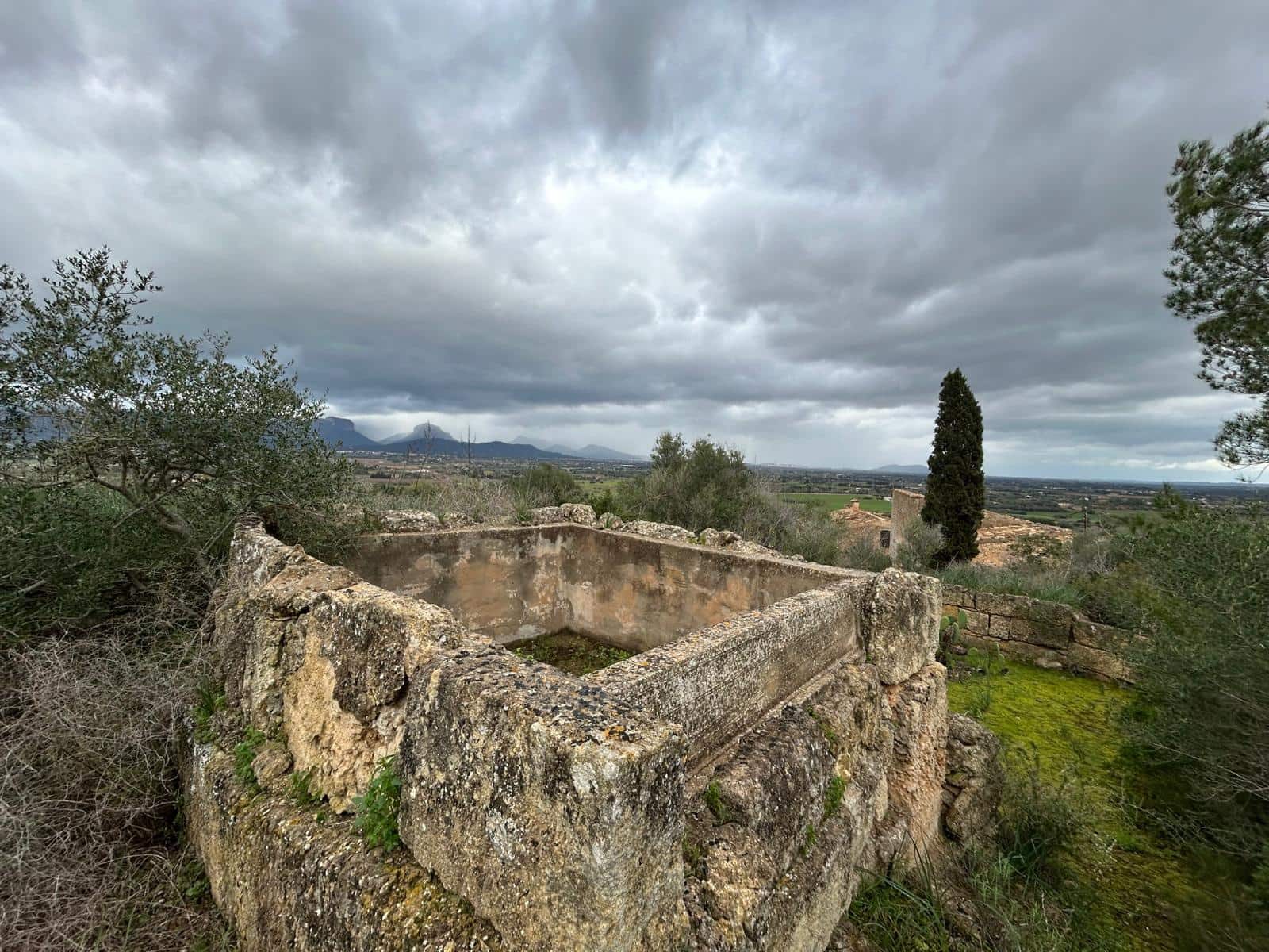 3 sypialnia Finka/Dom wiejski na sprzedaż w Santa Eugenia - 450 000 € (Ref: 9624121)