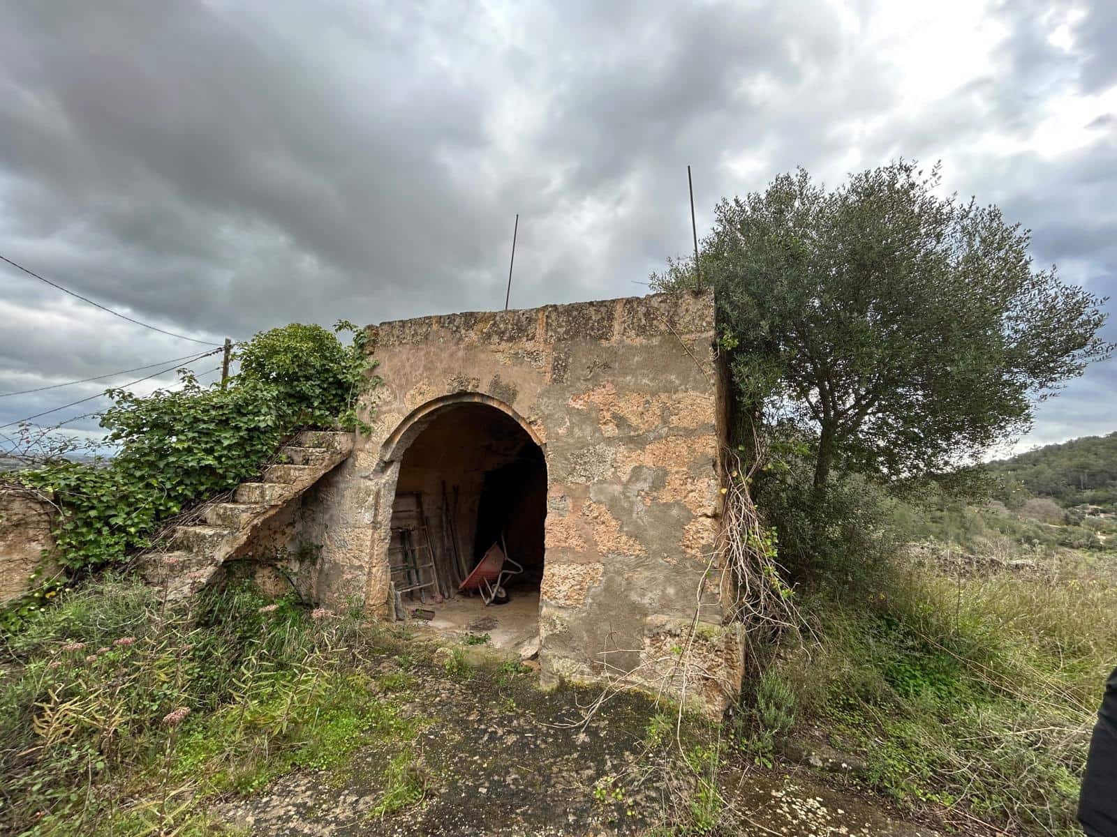 3 sypialnia Finka/Dom wiejski na sprzedaż w Santa Eugenia - 450 000 € (Ref: 9624121)