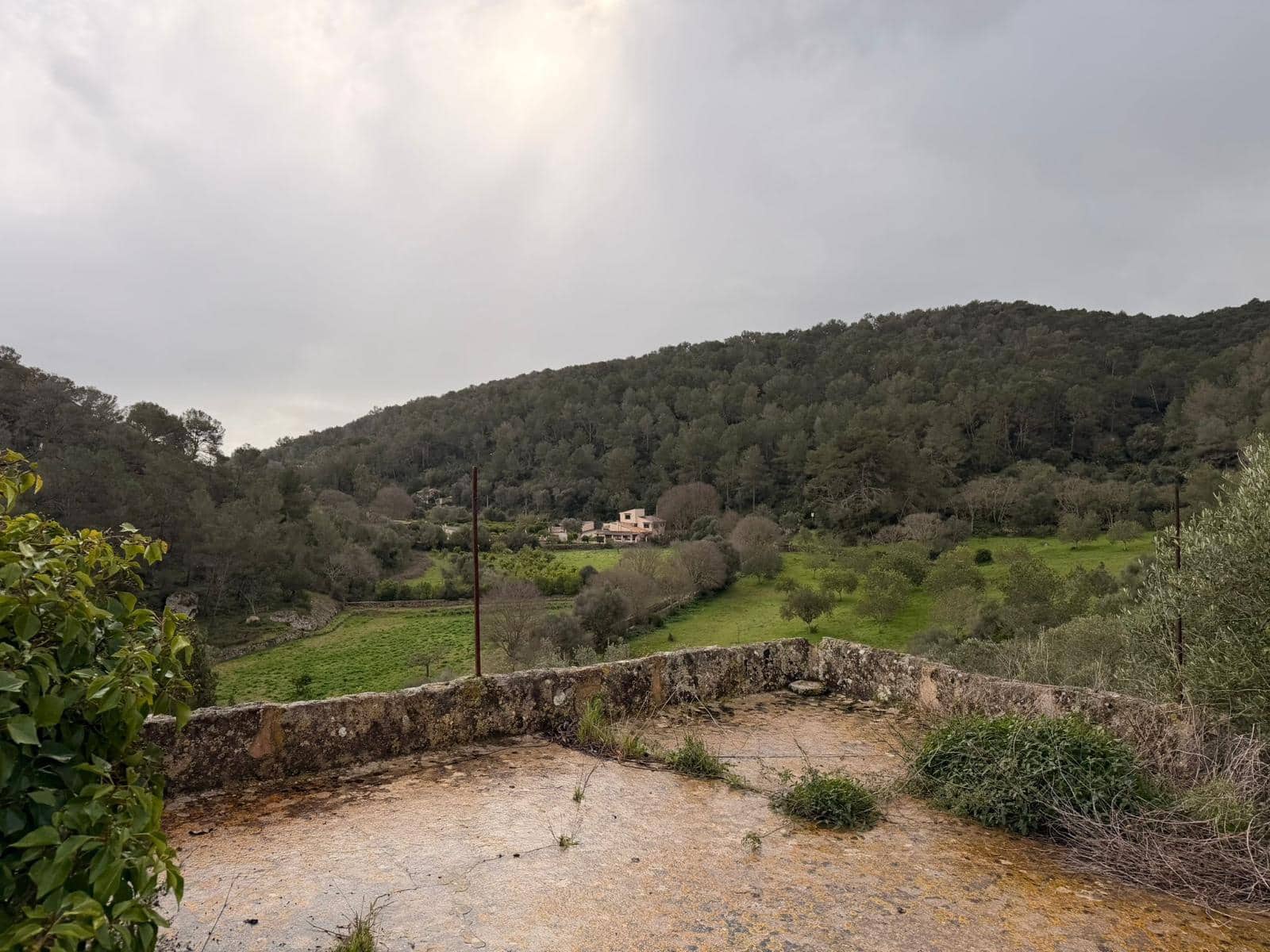 3 sypialnia Finka/Dom wiejski na sprzedaż w Santa Eugenia - 450 000 € (Ref: 9624121)