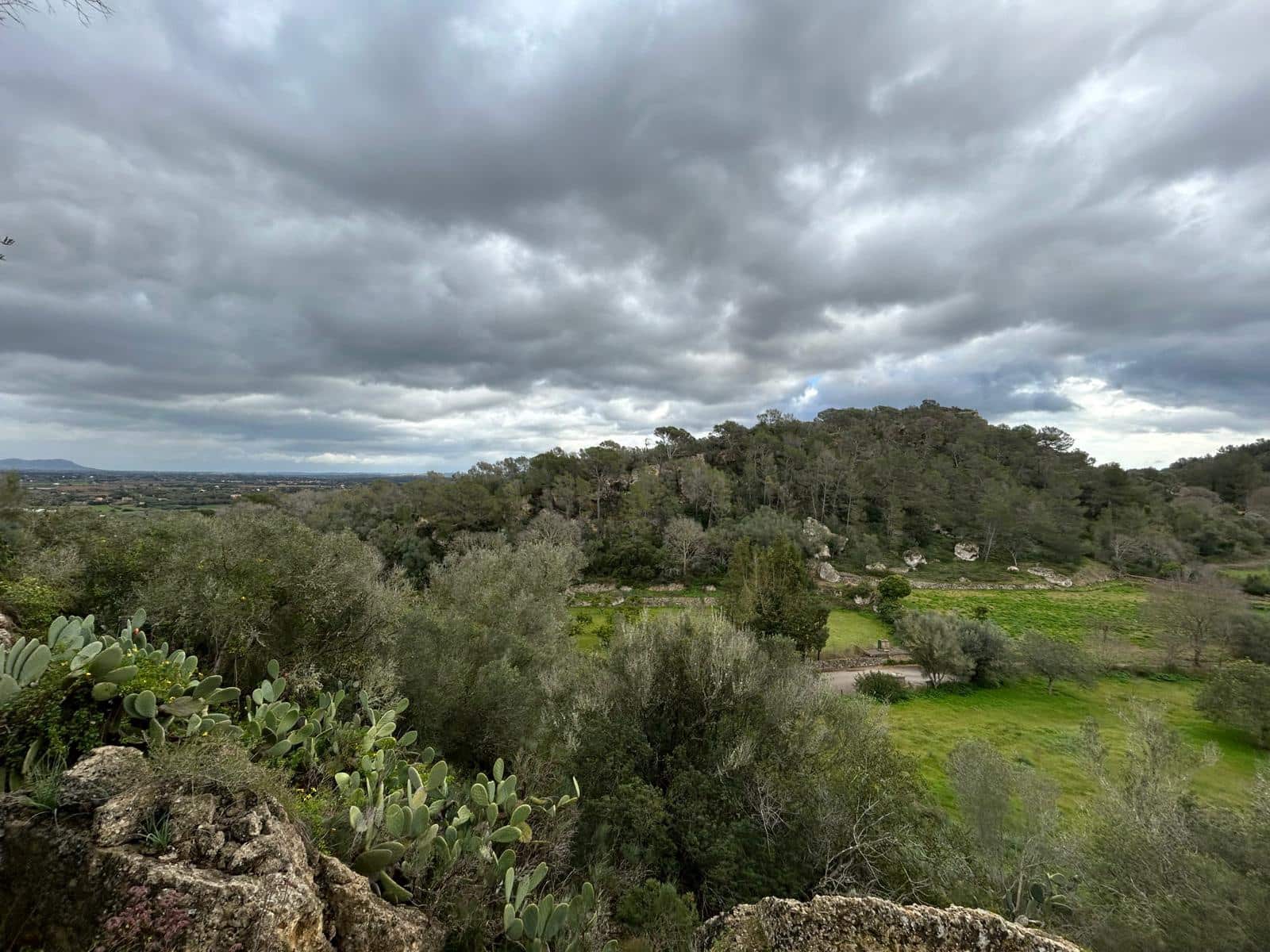 3 sypialnia Finka/Dom wiejski na sprzedaż w Santa Eugenia - 450 000 € (Ref: 9624121)