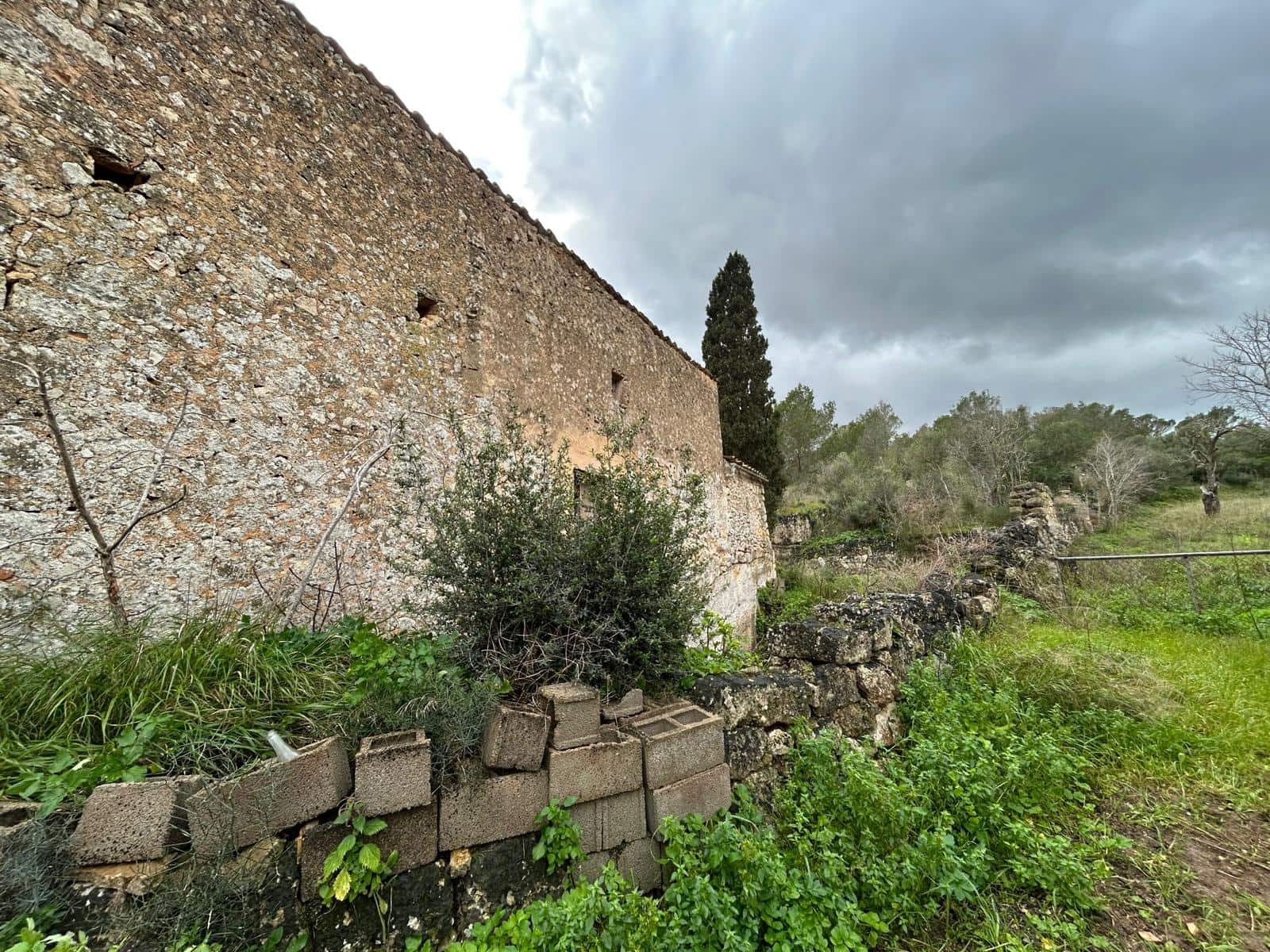 3 sypialnia Finka/Dom wiejski na sprzedaż w Santa Eugenia - 450 000 € (Ref: 9624121)