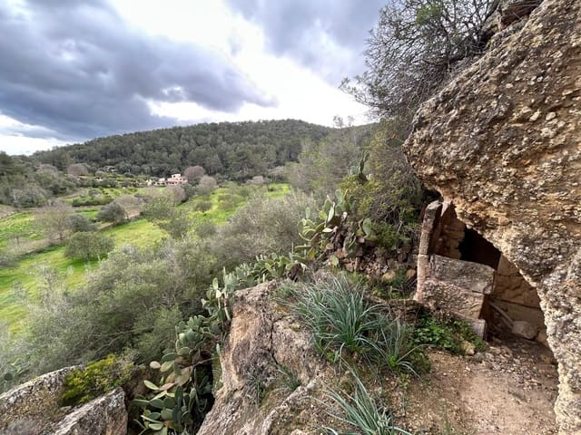 3 sypialnia Finka/Dom wiejski na sprzedaż w Santa Eugènia - 450 000 € (Ref: 9624121)