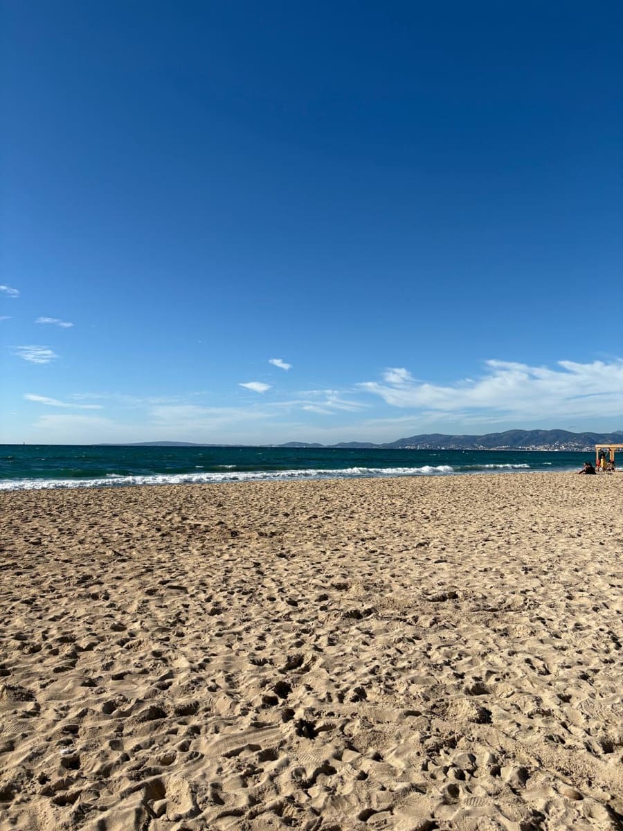 Terrain à Bâtir à vendre à Palma de Mallorca - 1 585 000 € (Ref: 9624129)