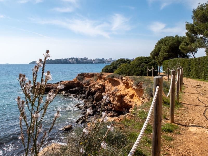 1 quarto Apartamento para venda em Portals Nous com piscina garagem - 2 400 000 € (Ref: 9646352)