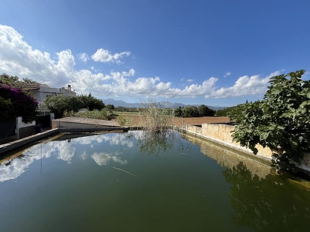 Byggegrund til salg i Muro - € 230.000 (Ref: 9665480)