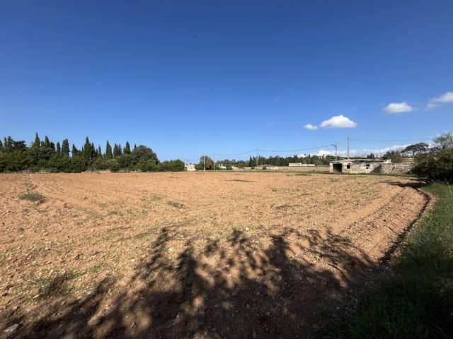 Byggegrund til salg i Muro - € 230.000 (Ref: 9665480)