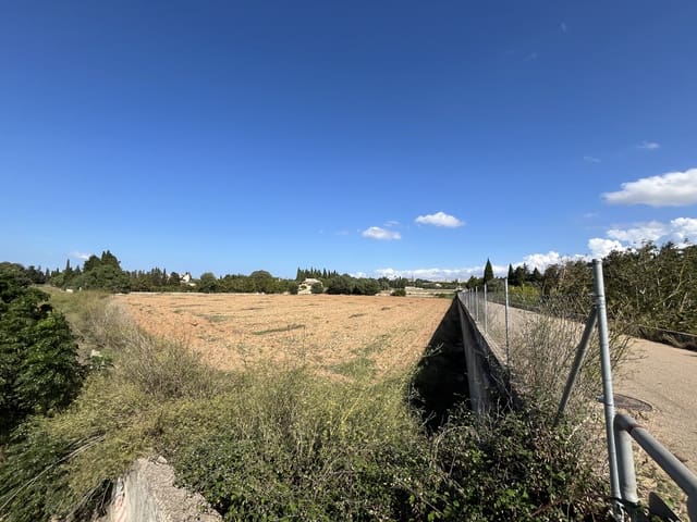 Byggegrund til salg i Muro - € 230.000 (Ref: 9665480)