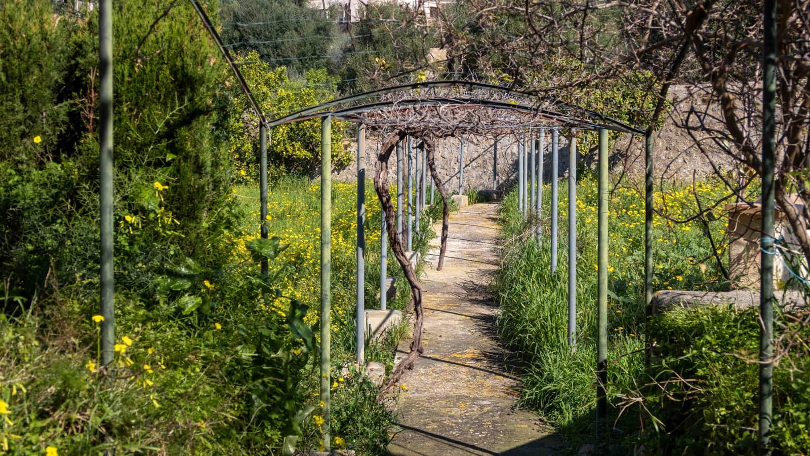 6 sypialnia Finka/Dom wiejski na sprzedaż w Establiments z basenem garażem - 3 900 000 € (Ref: 9685785)