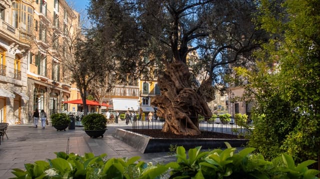 3 soverom Leilighet til salgs i Sant Nicolau, Palma de Mallorca - € 1 590 000 (Ref: 9694393)