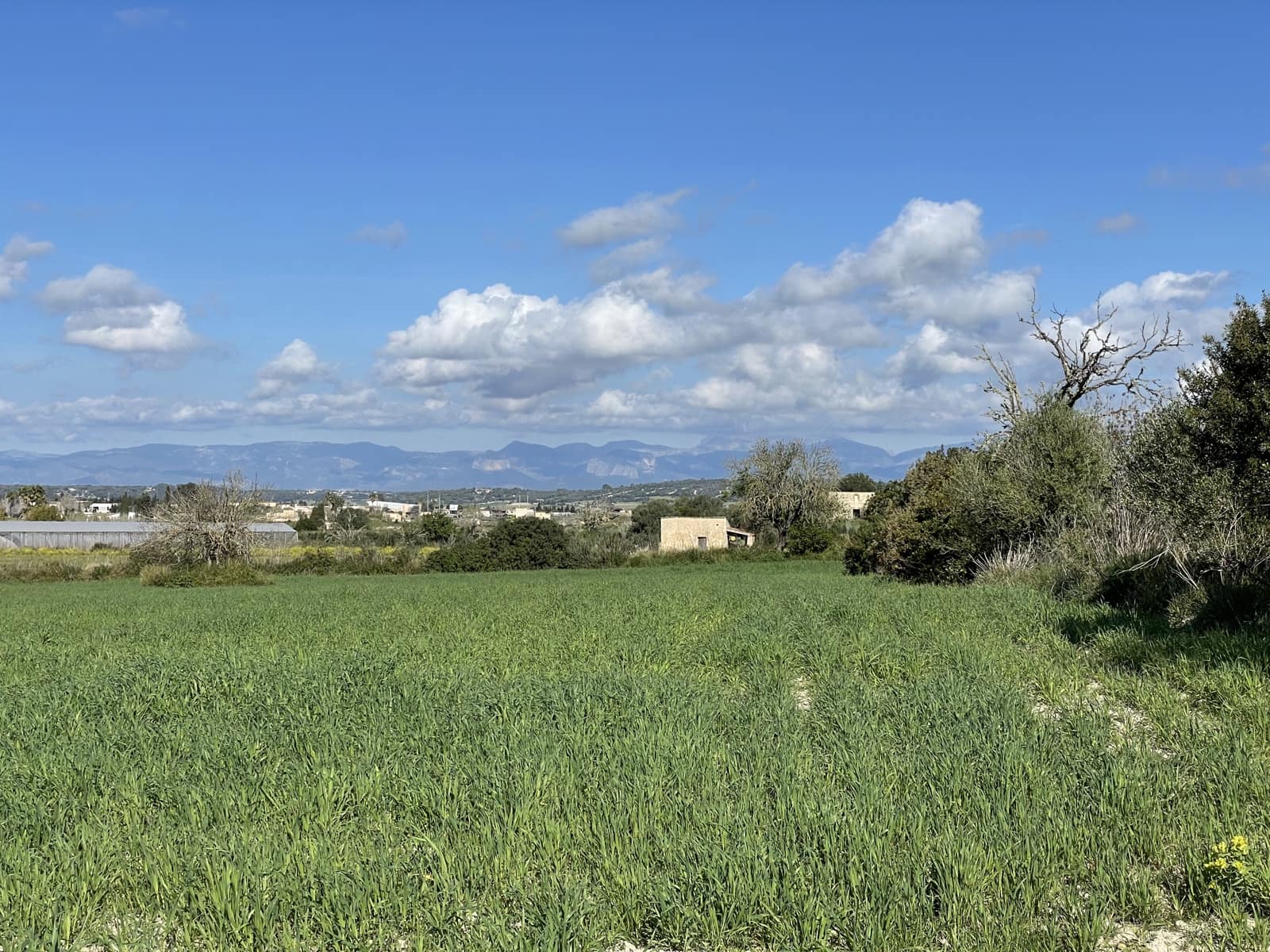 Byggegrund til salg i Montuiri - € 670.000 (Ref: 9697815)