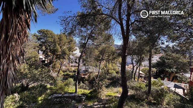 Byggegrund til salg i Peguera / Paguera, Calvià - € 650.000 (Ref: 9697816)