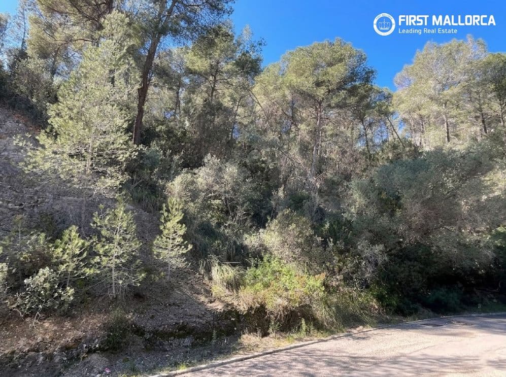 Building Plot for sale in Costa d'en Blanes - € 1,500,000 (Ref: 9716727)