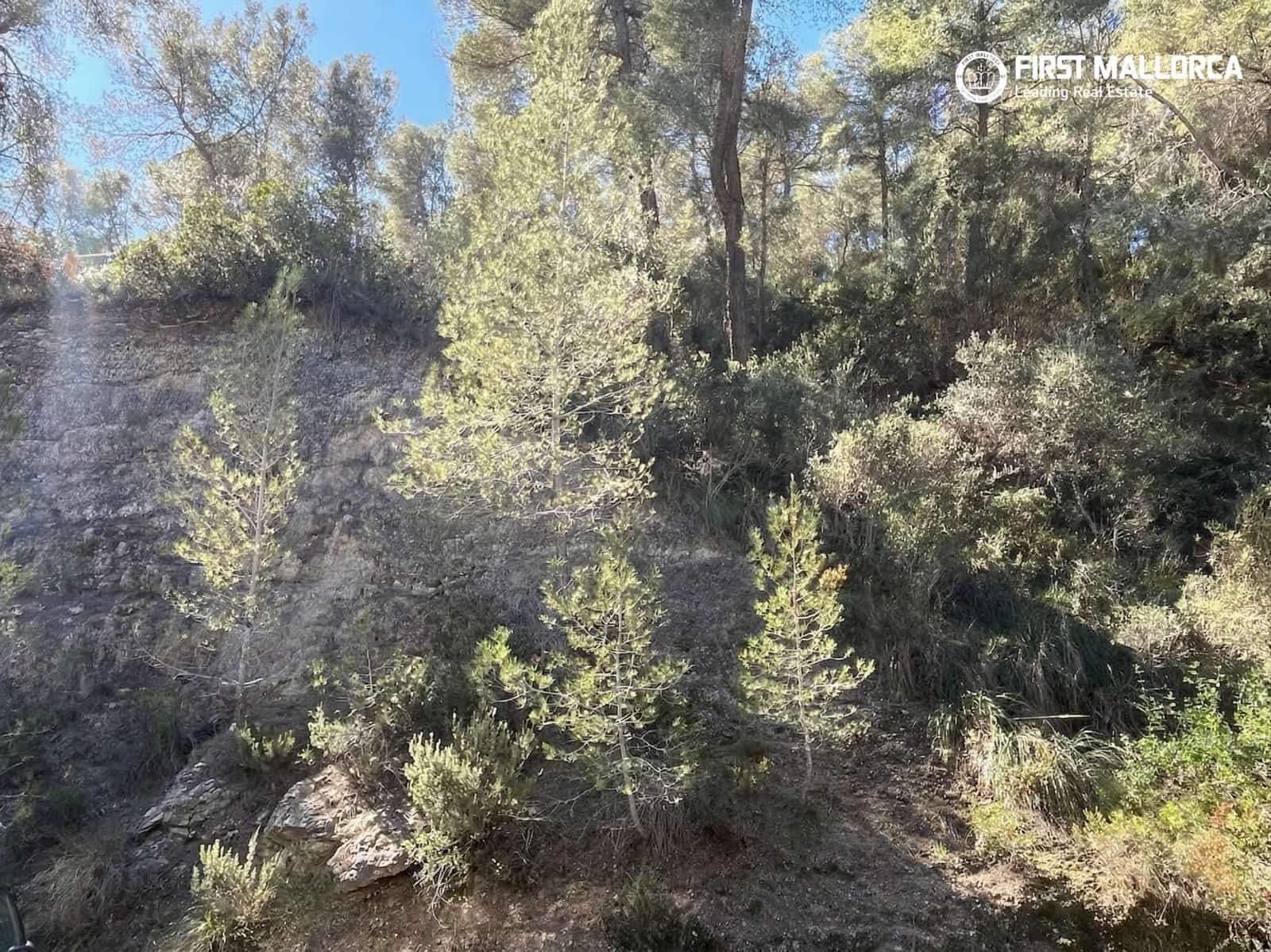 Building Plot for sale in Costa d'en Blanes - € 1,500,000 (Ref: 9716727)