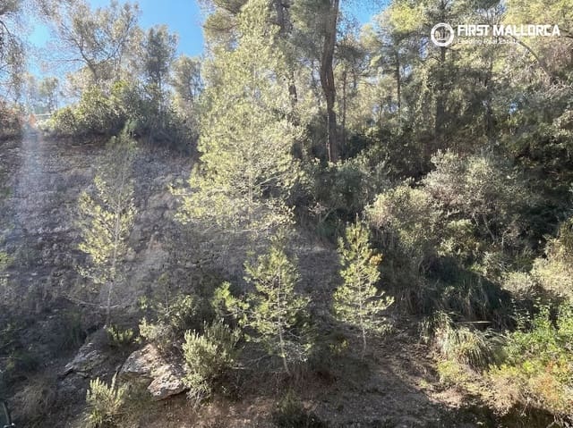 Bauplatz zu verkaufen in Costa d'en Blanes, Calvià - 1.500.000 € (Ref: 9716727)