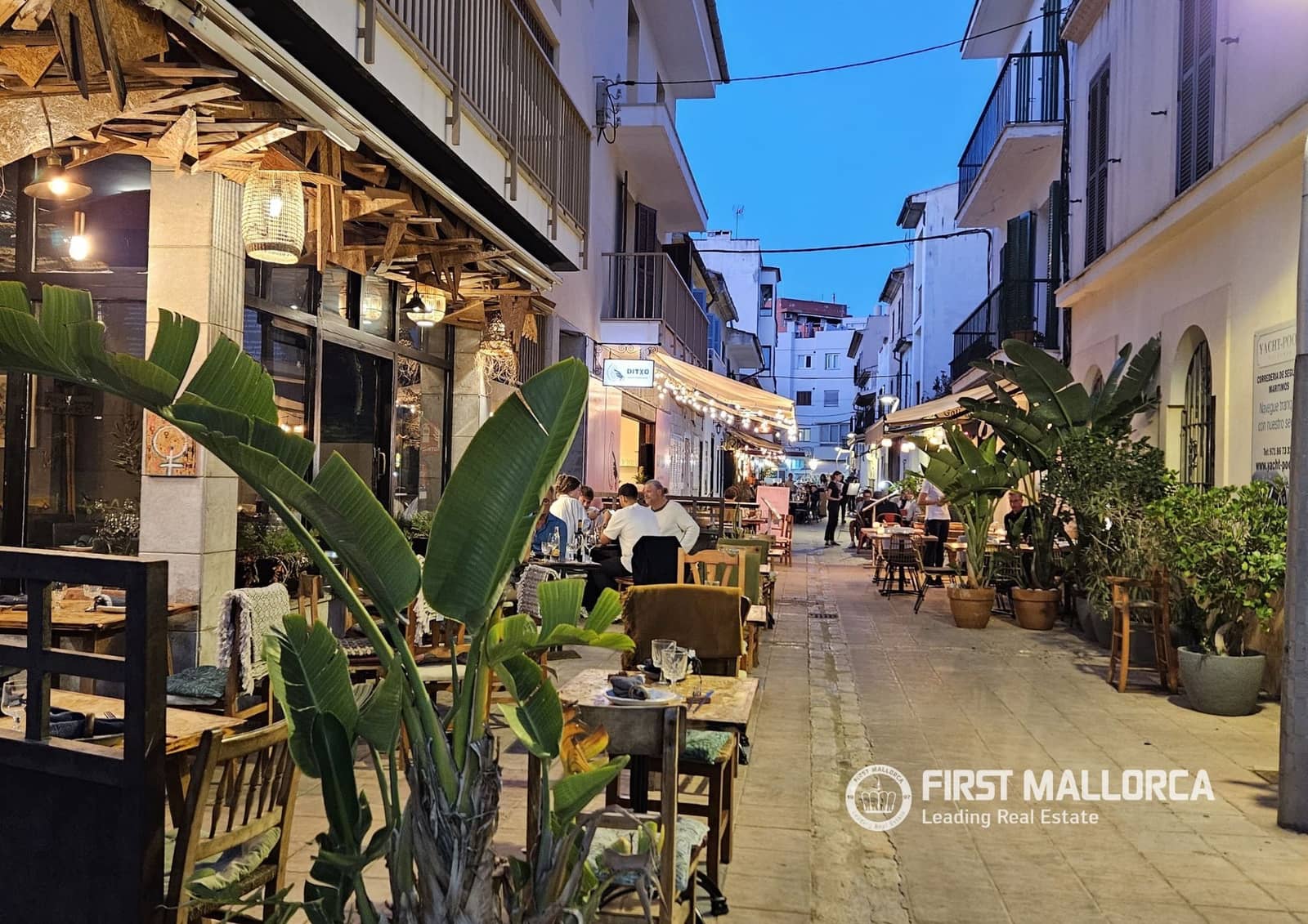 4 bedroom Villa for rent in Pollensa / Pollenca - € 10,000 (Ref: 9733959)