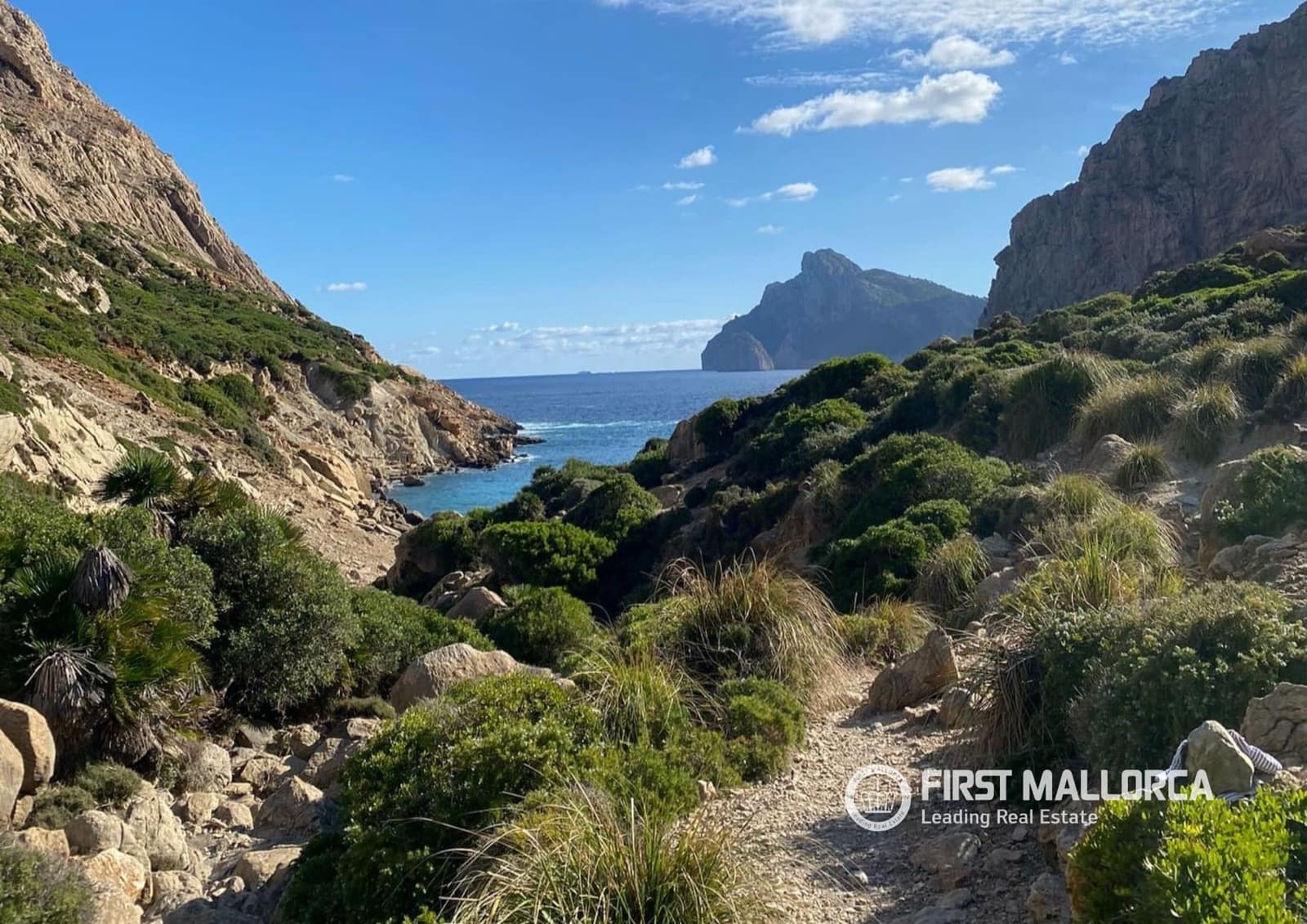 4 bedroom Villa for rent in Pollensa / Pollenca - € 10,000 (Ref: 9733959)