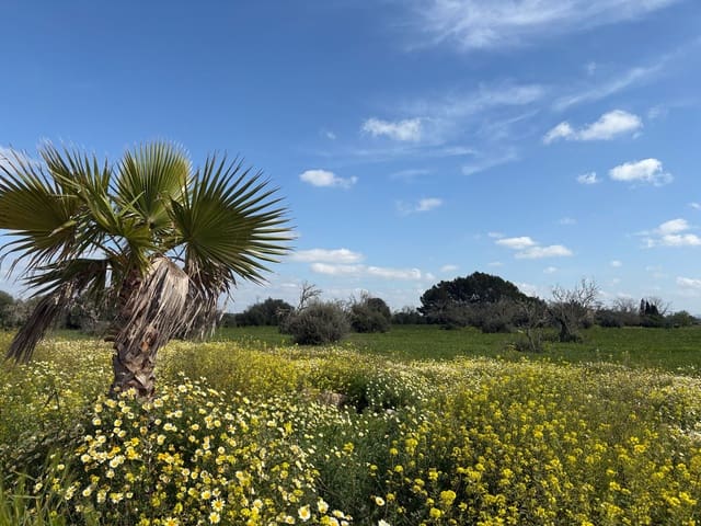 4 sypialnia Finka/Dom wiejski na sprzedaż w Campos z basenem garażem - 2 250 000 € (Ref: 9737347)