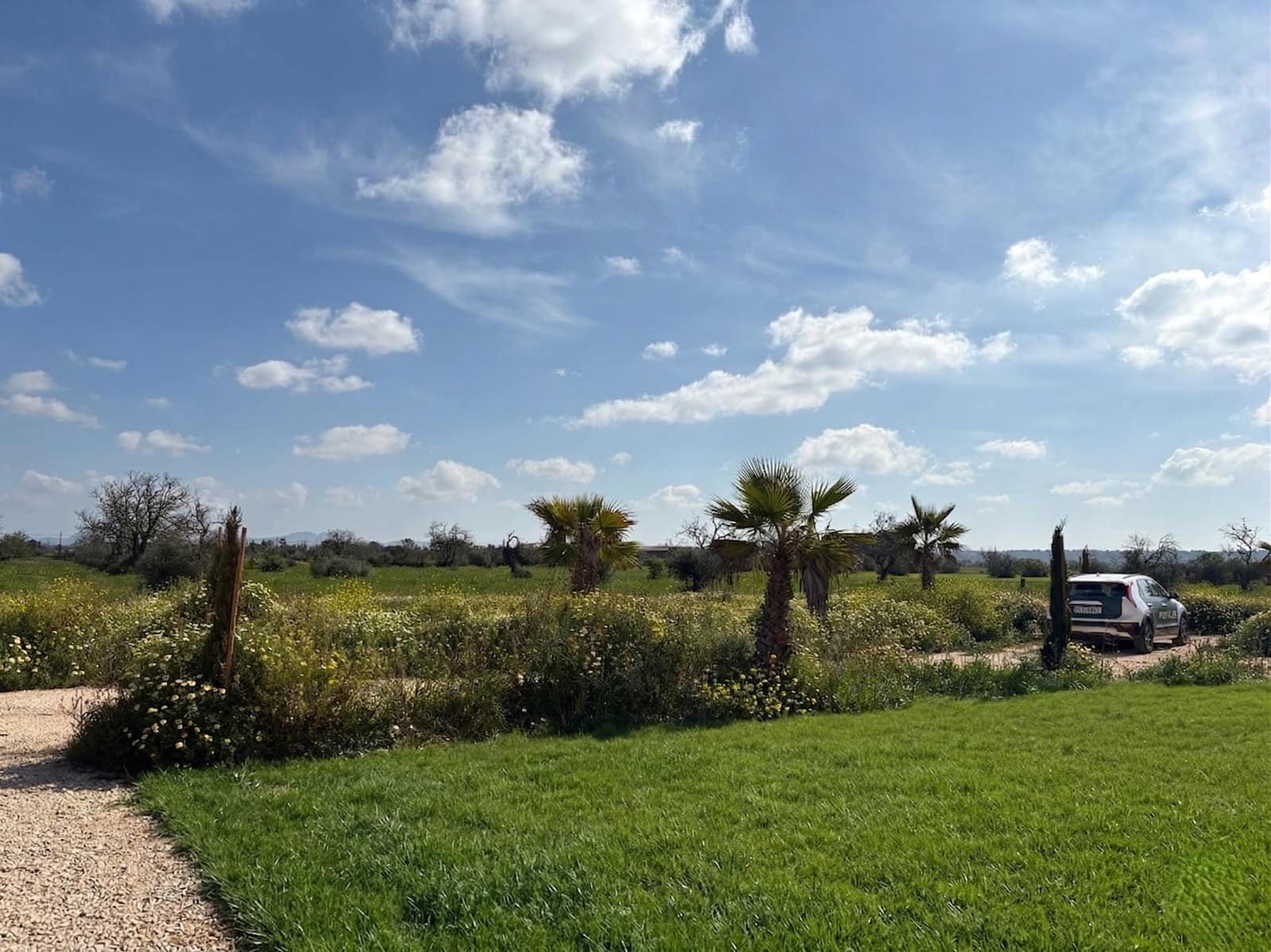 4 bedroom Finca/Country House for sale in Campos with pool garage - € 2,250,000 (Ref: 9737347)