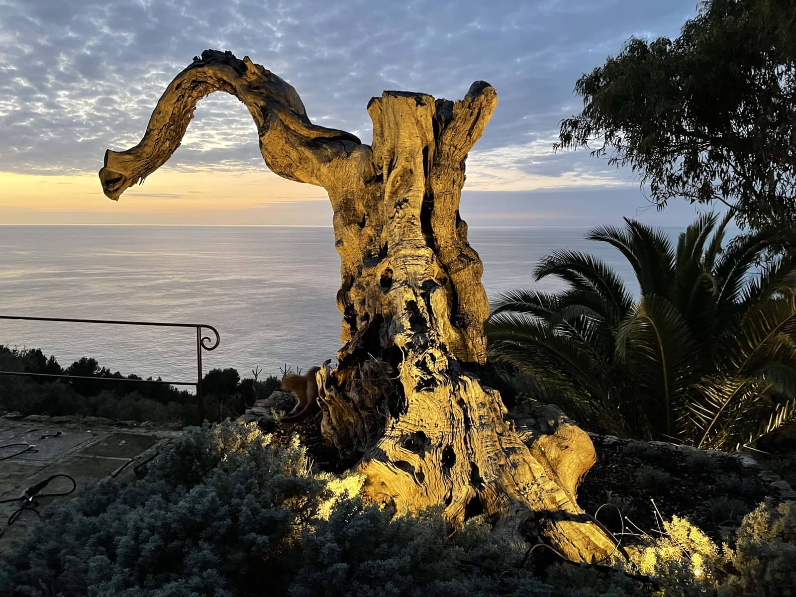 4 slaapkamer Finca/Landhuis te koop in Soller met zwembad garage - € 5.700.000 (Ref: 9750978)