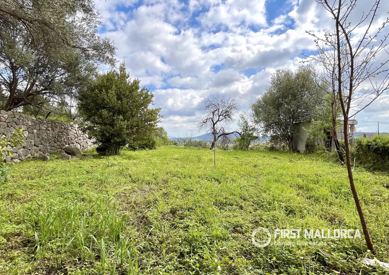 2 bedroom Semi-detached Villa for sale in Selva with garage - € 790,000 (Ref: 9777224)