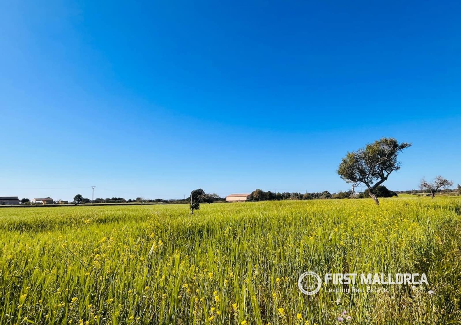 Byggegrund til salg i L'Horta / S'Horta - € 900.000 (Ref: 9789924)