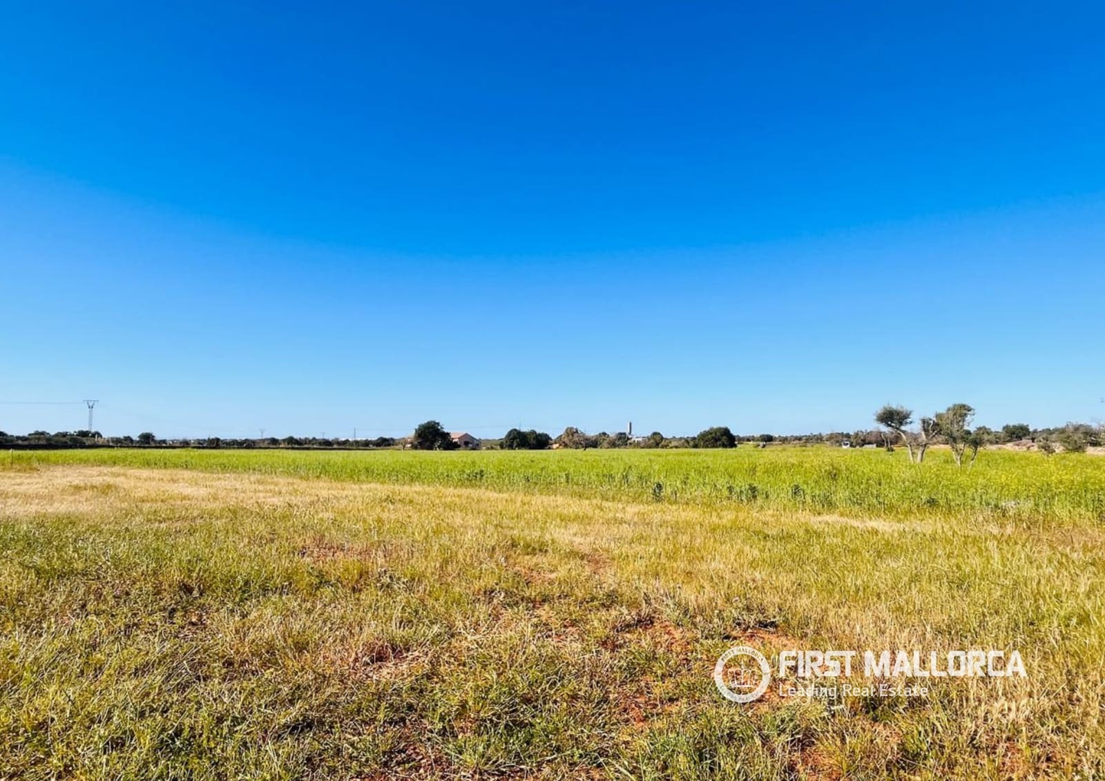 Byggegrund til salg i L'Horta / S'Horta - € 900.000 (Ref: 9789924)