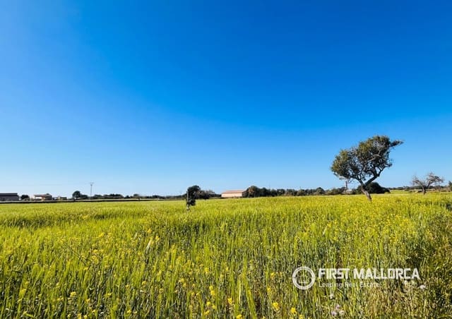 Byggegrund til salg i L'Horta / S'Horta, Felanitx - € 900.000 (Ref: 9789924)